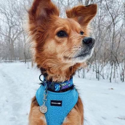 Adjustable Electric Blue Teddy Fabric Dog Harness