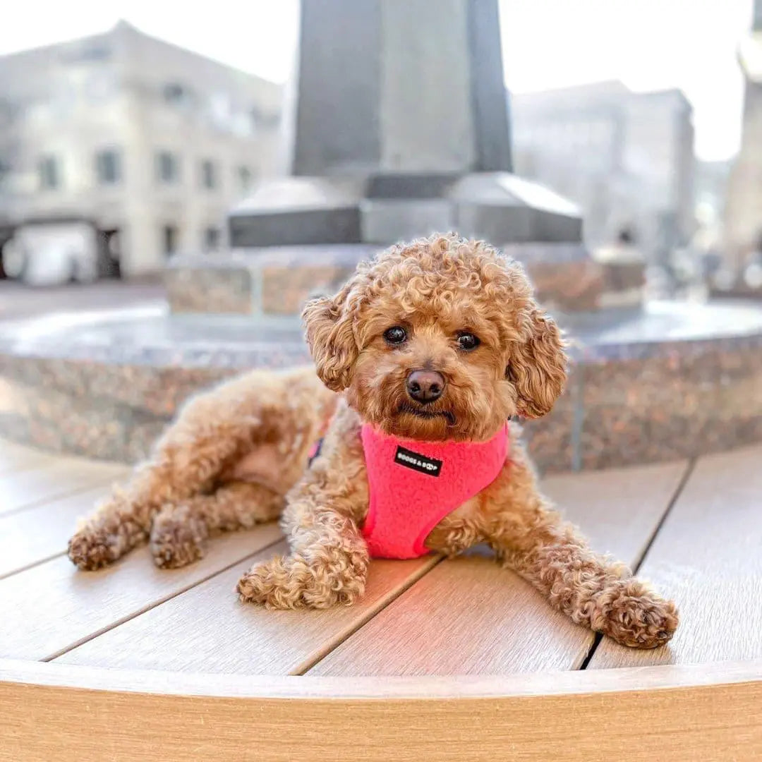 Adjustable Fluorescent Pink Teddy Fabric Dog Harness