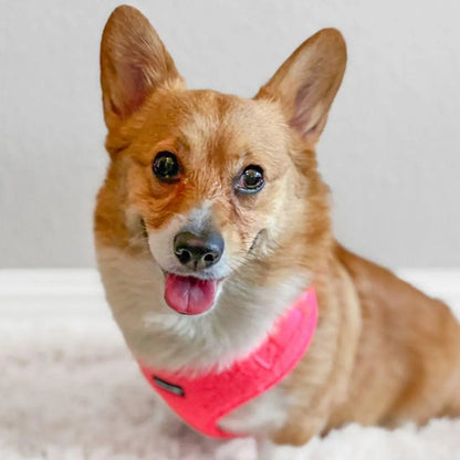 Adjustable Fluorescent Pink Teddy Fabric Dog Harness