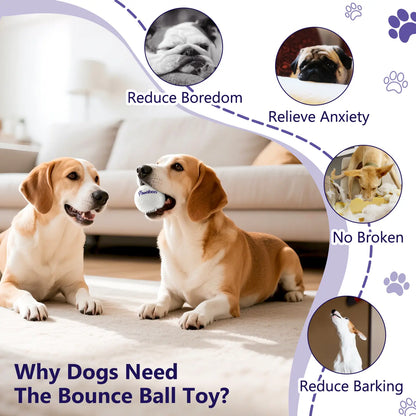 Indestructible Dog Tennis Balls for Aggressive Chewers - Interactive High-Bounce Fetch Toy for Large, Medium, and Small Dogs and Puppies