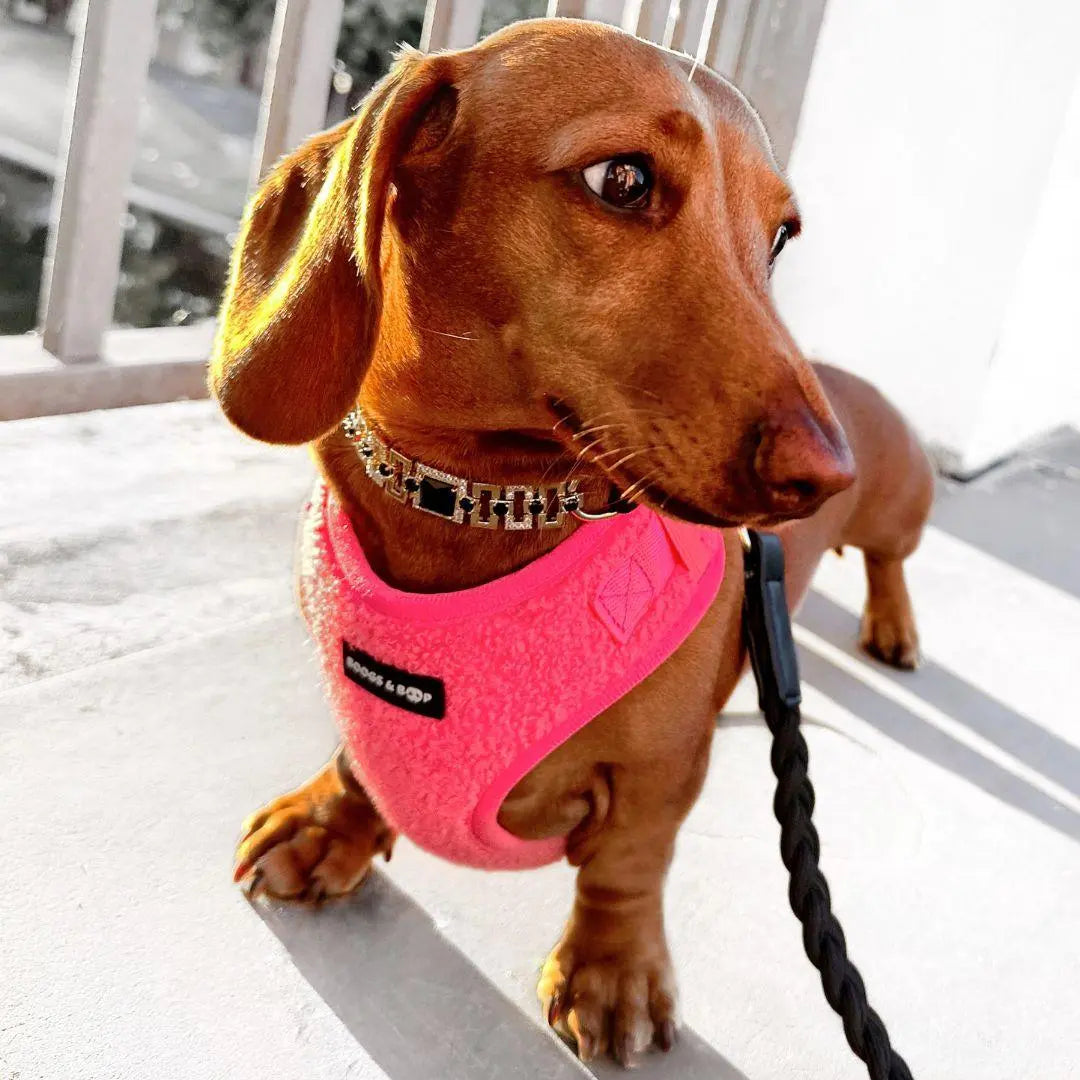 Adjustable Fluorescent Pink Teddy Fabric Dog Harness