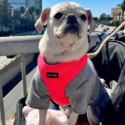 Adjustable Fluorescent Pink Teddy Fabric Dog Harness