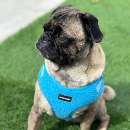 Adjustable Electric Blue Teddy Fabric Dog Harness