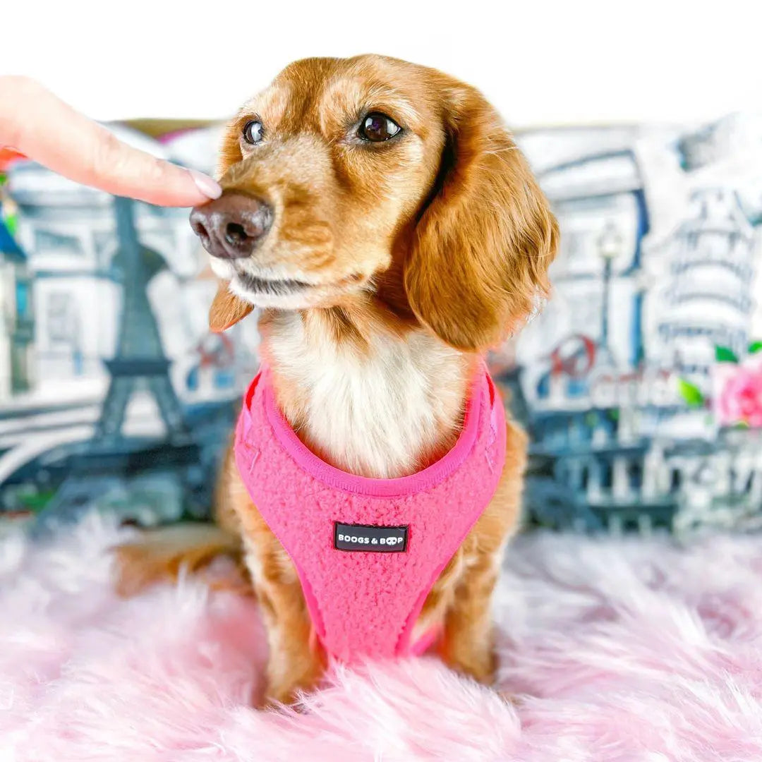 Adjustable Fluorescent Pink Teddy Fabric Dog Harness
